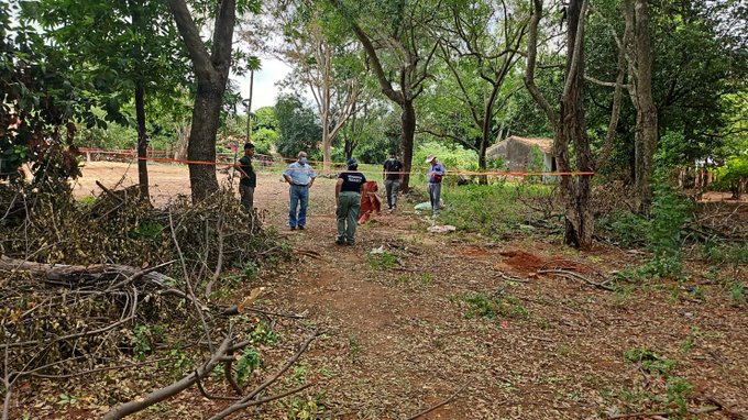 Ministerio de Salud despliega control tras hallazgo de producto tóxico en Ñemby