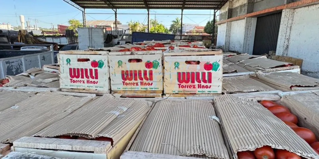 Golpe al contrabando: Incautan 7 toneladas de tomate y 3 de cebolla en zona del Remanso