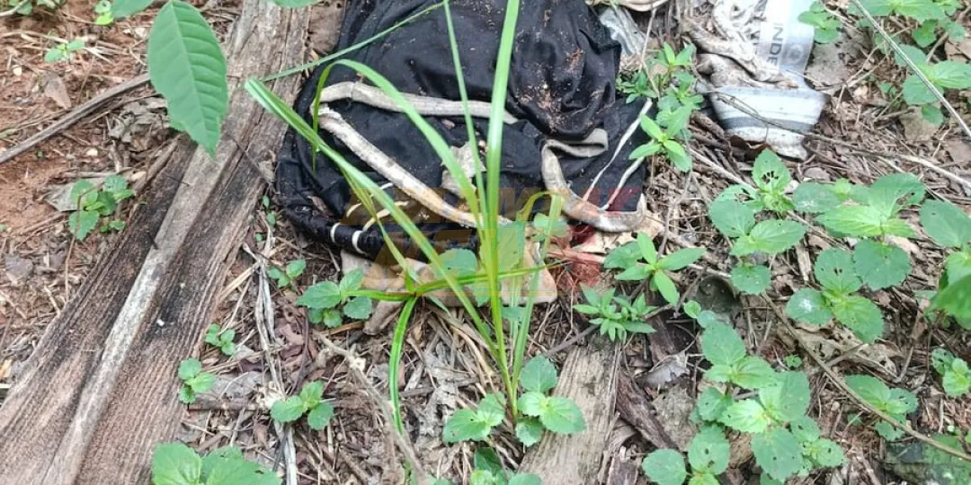 Piden análisis forense para determinar si restos óseos hallados son humanos