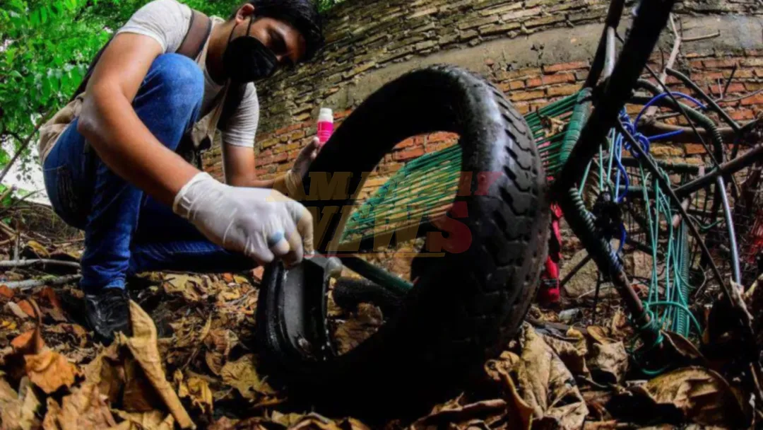 Dengue, con aumento de casos en Asunción y once departamentos
