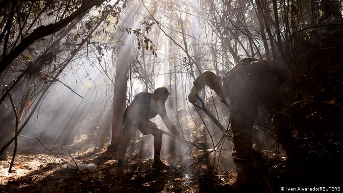 Continúa la preocupación por los incesantes incendios en Chile
