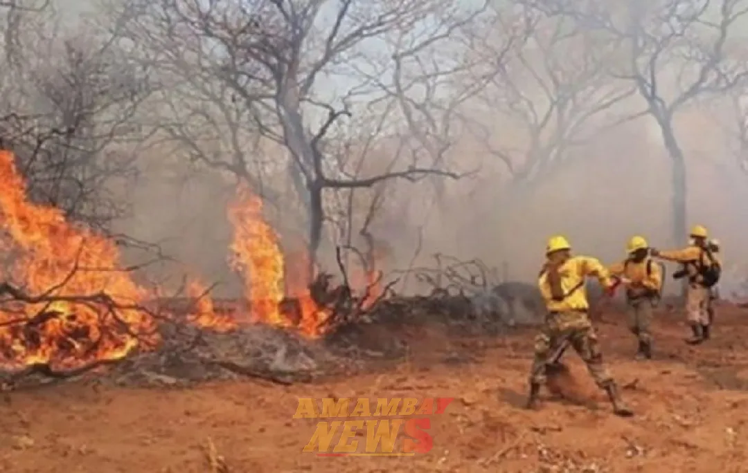 Incendios en Chovoreca: fiscal imputó por delitos ambientales a propietario de inmueble
