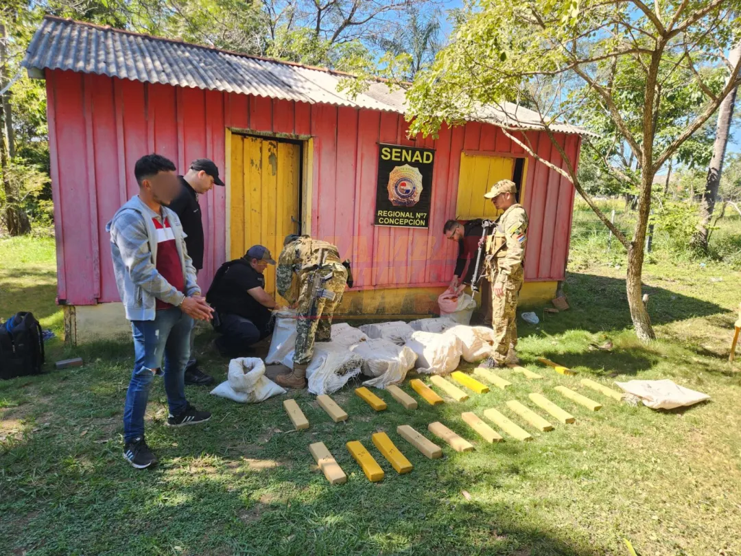 Allanan vivienda en Yby Yaú y decomisan más de 240 kilos de marihuana