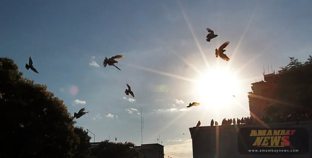 Meteorología anuncia un aumento gradual de temperatura