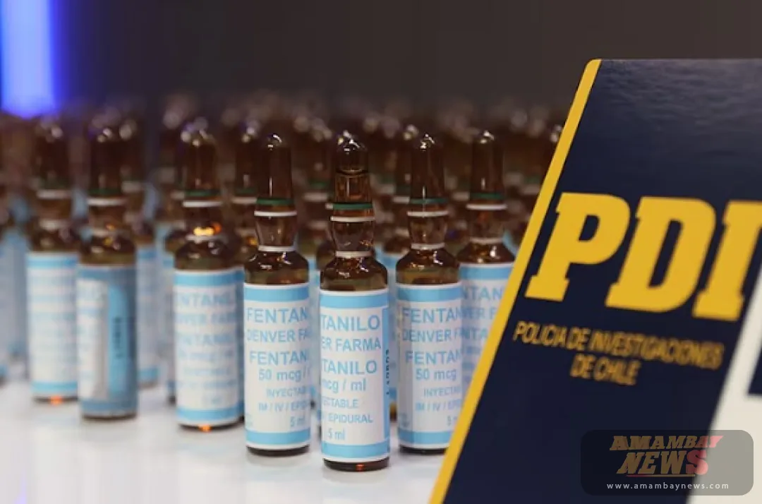 Golpe al narco: Incautan en Chile cargamento mortal de fentanilo proveniente de Paraguay
