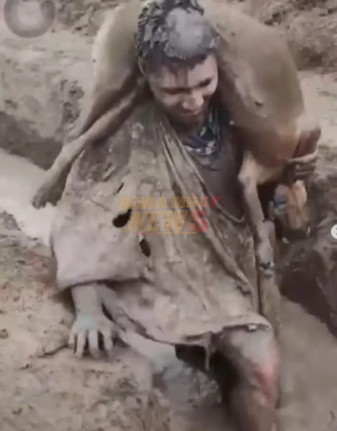 Perrita habría sido utilizada como “trofeo” en bautismo universitario