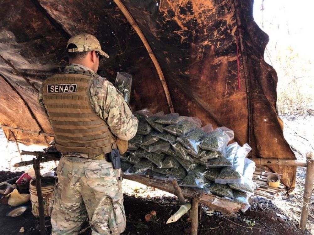 Golpe a marihuaneros en Capitán Bado