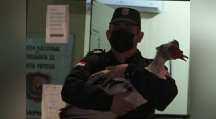 Detienen a dos jóvenes por supuestamente robar patos