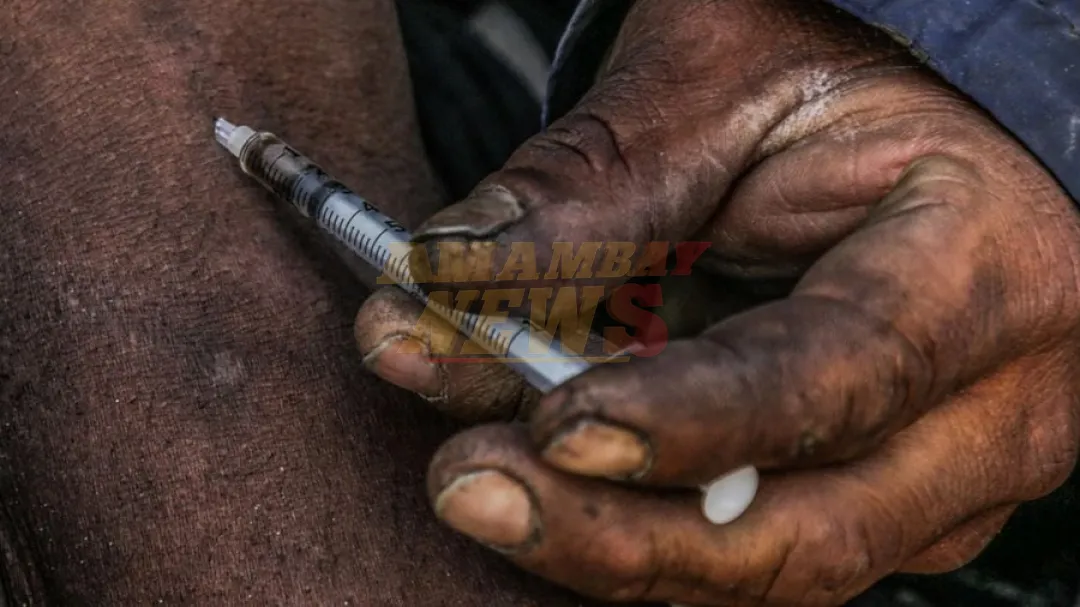 Carfentanilo: DEA alerta por nuevo opioide hasta 100 veces más potente que el fentanilo