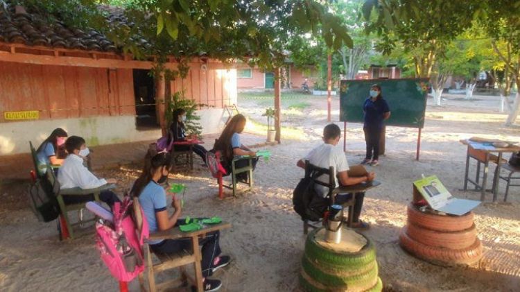Clases presenciales bajo árboles en Concepción