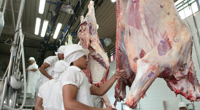 Exportación de carne paraguaya alcanzó las 235.000 toneladas