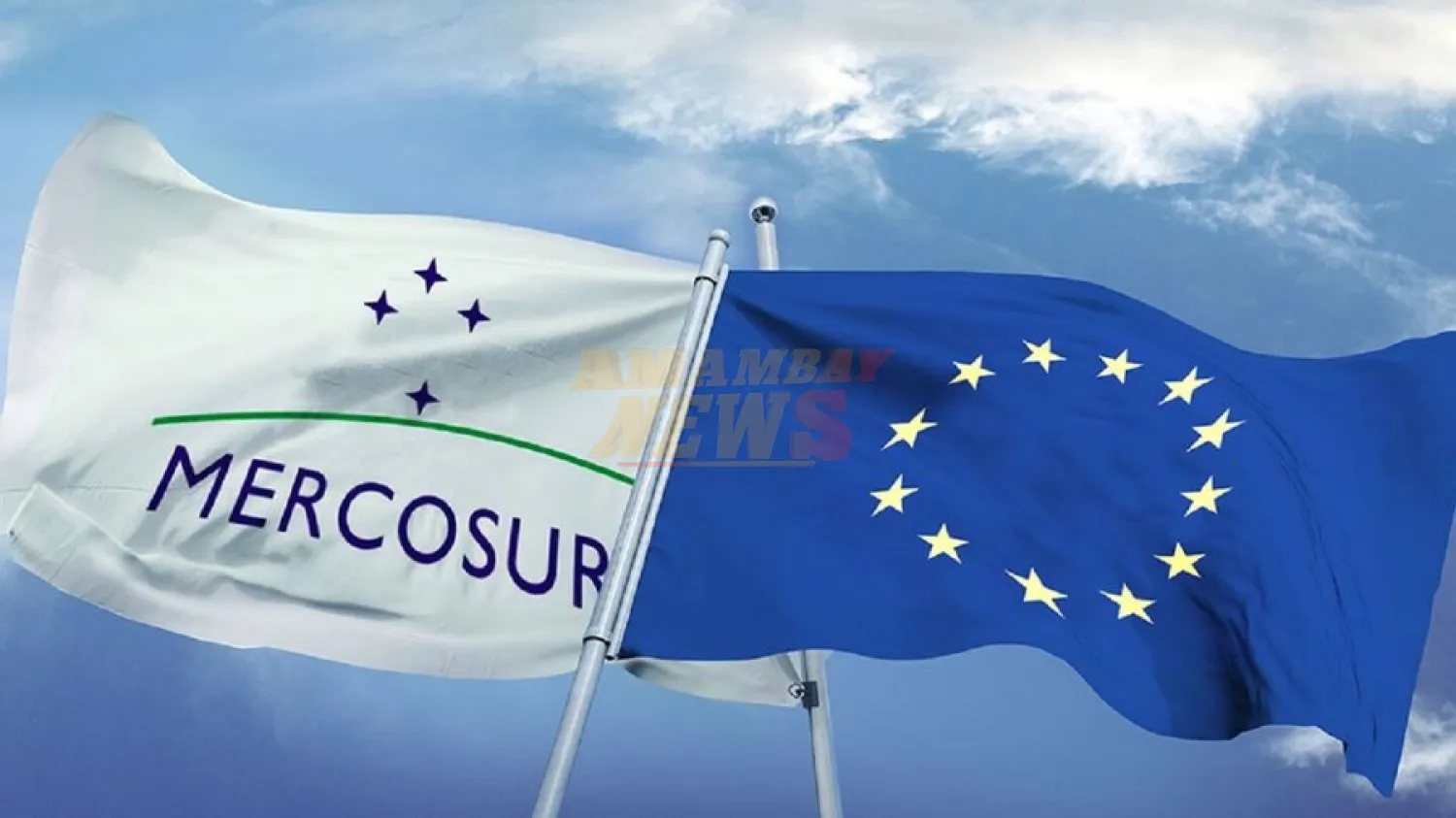 Parlamento francés reafirma su oposición al acuerdo UE-Mercosur
