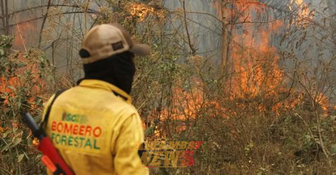 Bolivia declara "desastre nacional" por incendios forestales