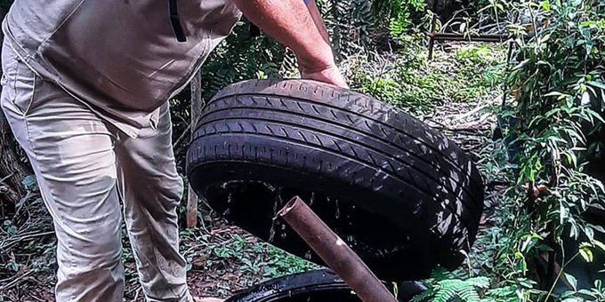 Senepa insta a vivir una Semana Santa sin criaderos de mosquitos y con cuidados