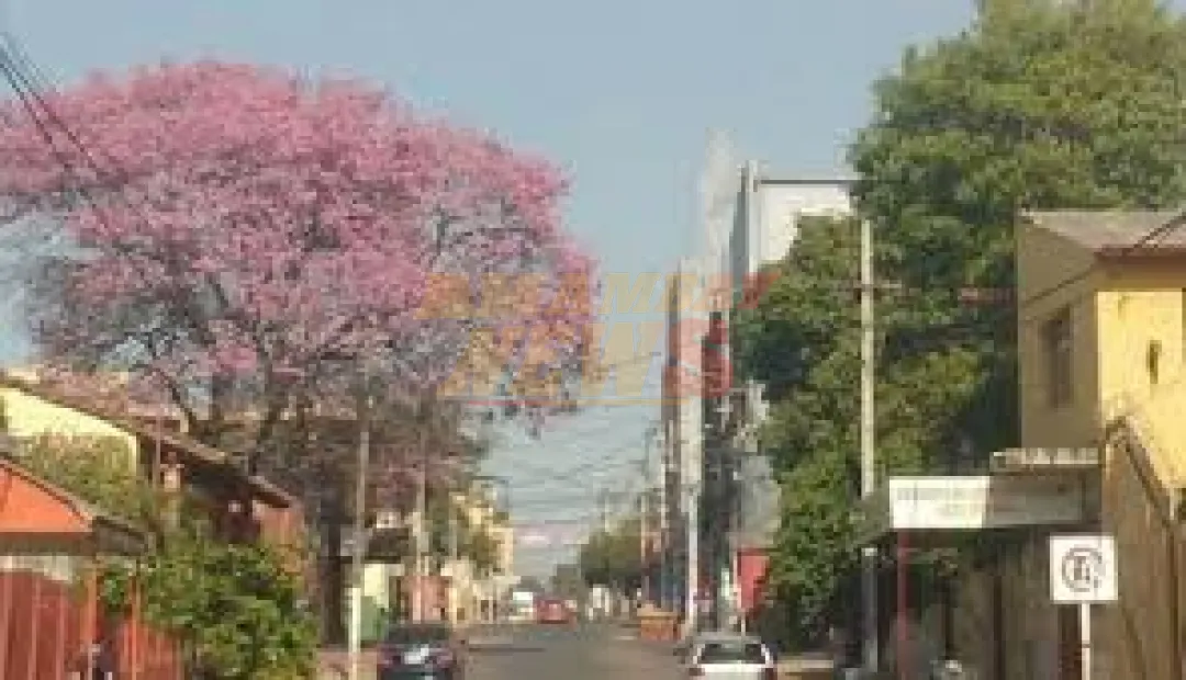 Anuncian ambiente cálido a caluroso en gran parte del país