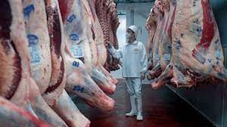 En cuatro meses, Paraguay exportó 96.000 toneladas de carne