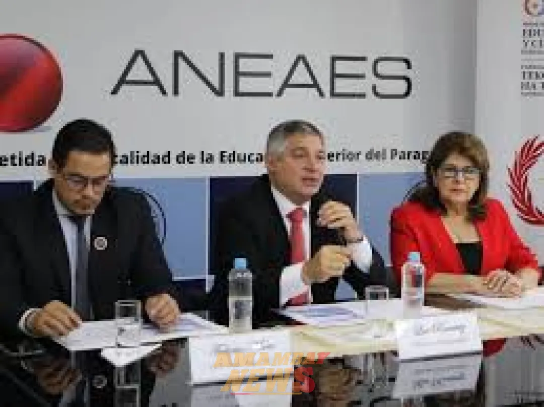 Afirman que Consejo Directivo de la ANEAES no está llenando las expectativas