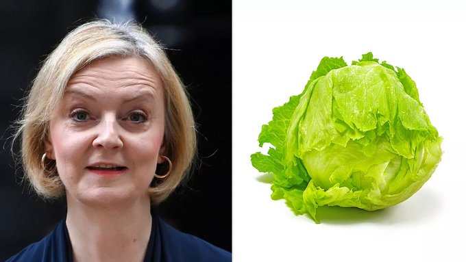 Liz Truss, la primer ministra británica que duró menos que una lechuga
