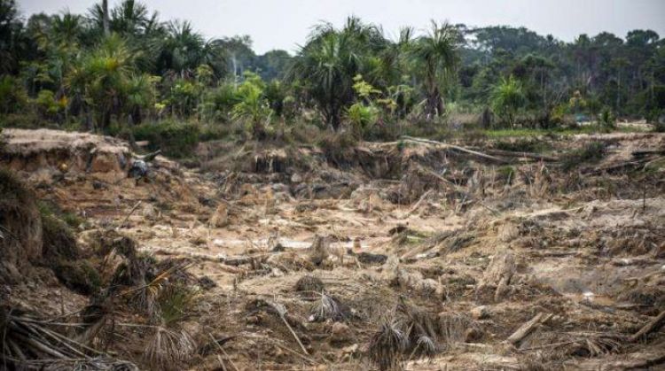 Deforestación en Amazonía brasileña baja en marzo, pero registra récord trimestral