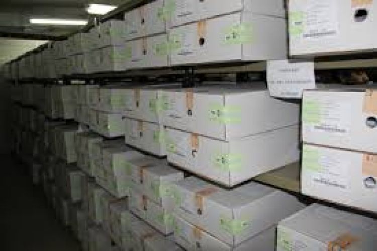 Alistan 12.000 maletines electorales para su distribución a nivel nacional