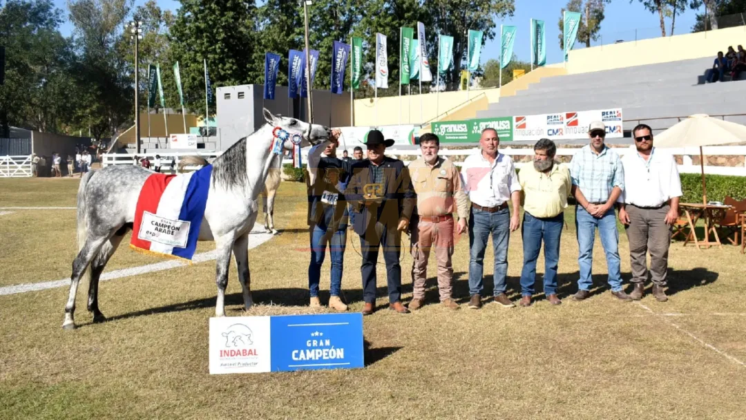 La Expo ya tiene a sus primeros grandes campeones en equinos