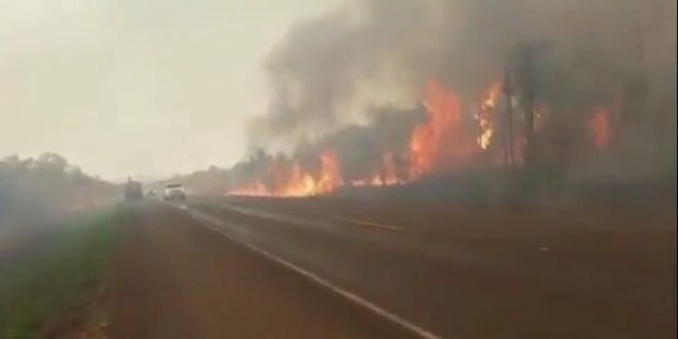 Bomberos trabajan arduamente para sofocar incendio en el Parque Nacional Cerro Corá