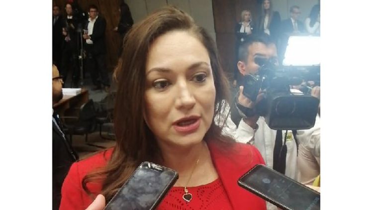 Piden informes a la ANDE sobre usufructo de columnas por parte de otras empresas