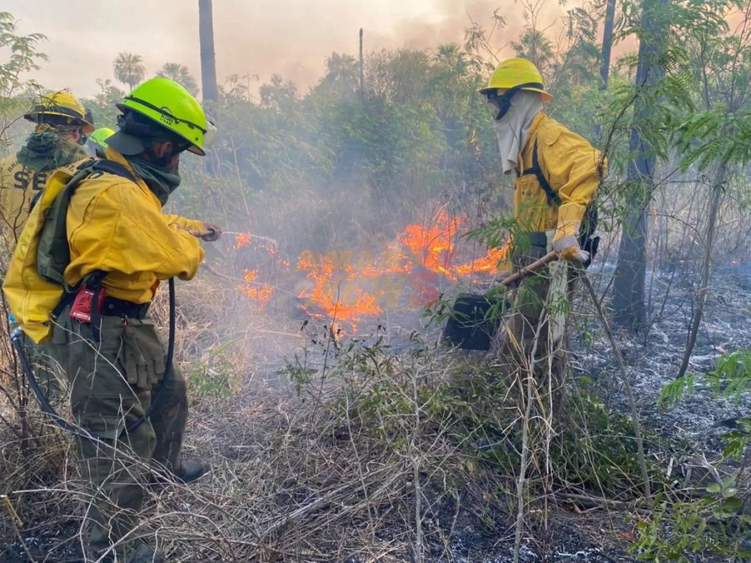Bomberos forestales combaten foco de incendio en Bahía Negra, cerca de la frontera con Bolivia