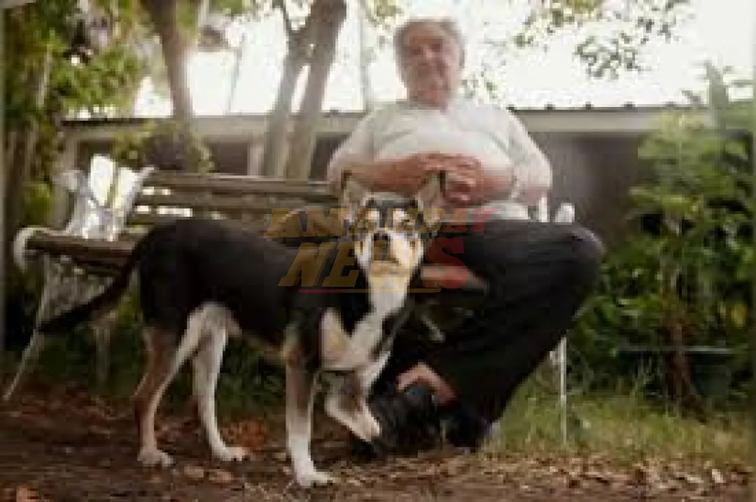 Pepe Mujica será enterrado bajo un árbol de su chacra junto a su perra
