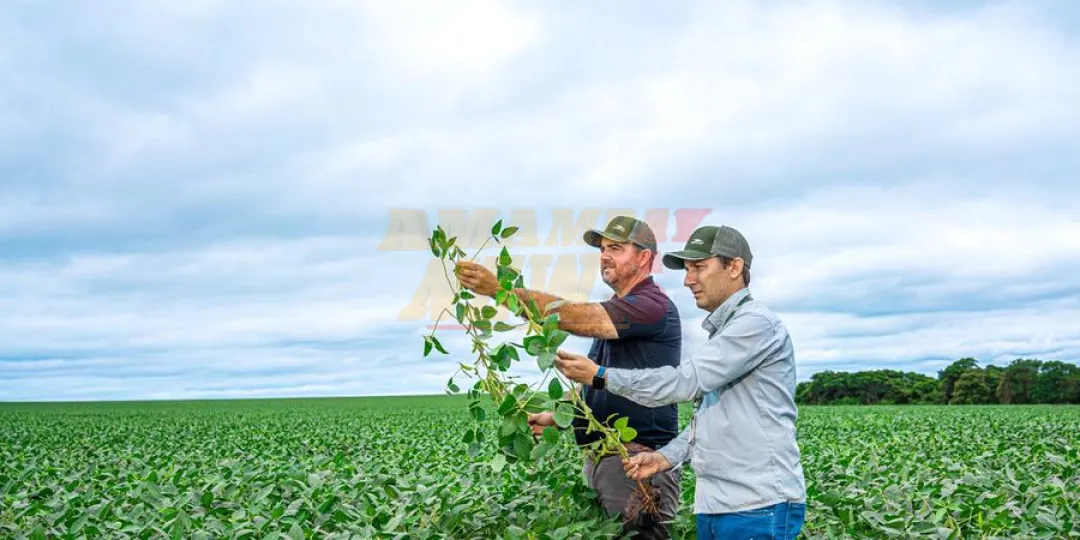 Encuesta Nacional Agropecuaria inicia mañana en 14 departamentos