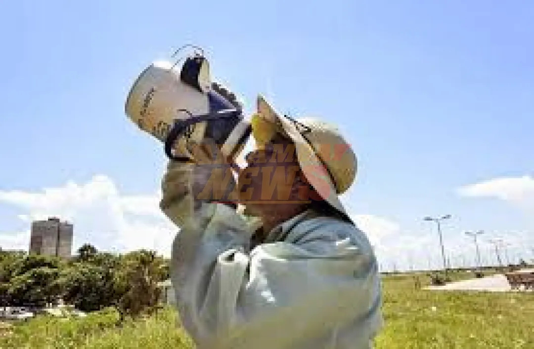 Calor y lluvias dispersas marcarán el inicio del fin de semana