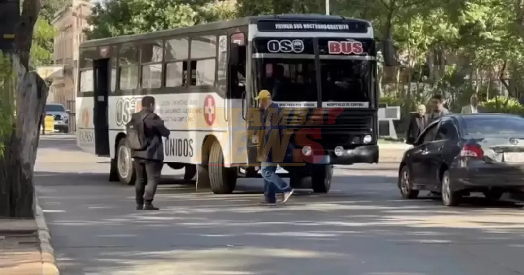 “Oso Bus” opera sin autorización del Viceministerio de Transporte