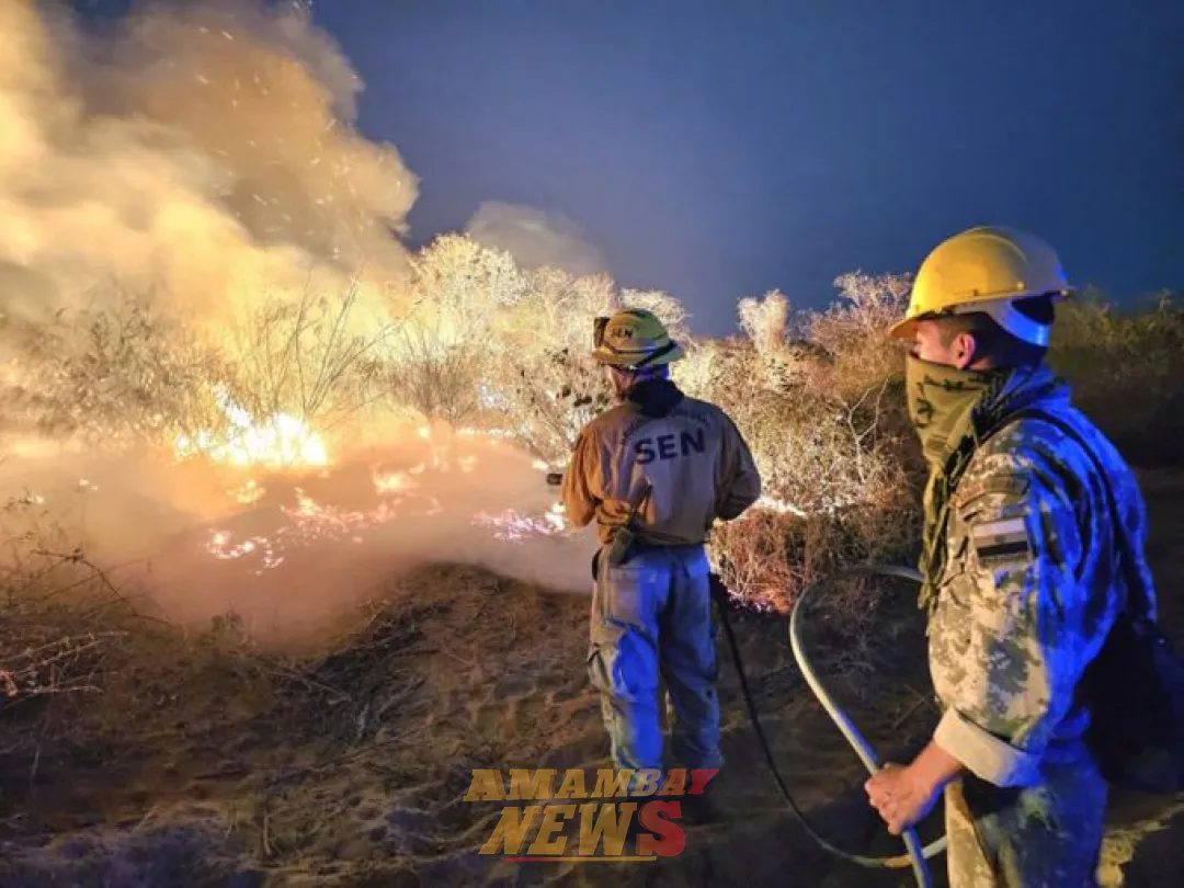 Reportan intenso trabajo tras reinicio de incendios en el Chaco