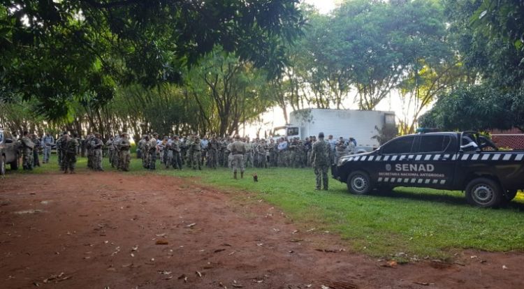 Operativo en Amambay causa US$ 12,7 millones de pérdida a narcos