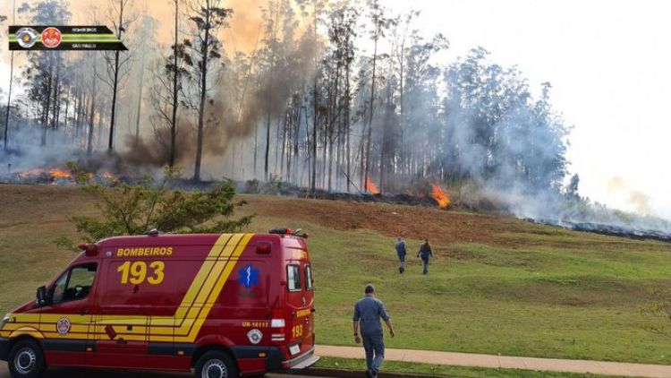 Empresario Celso Silveira Mello, su esposa e hijos mueren tras caída de avioneta
