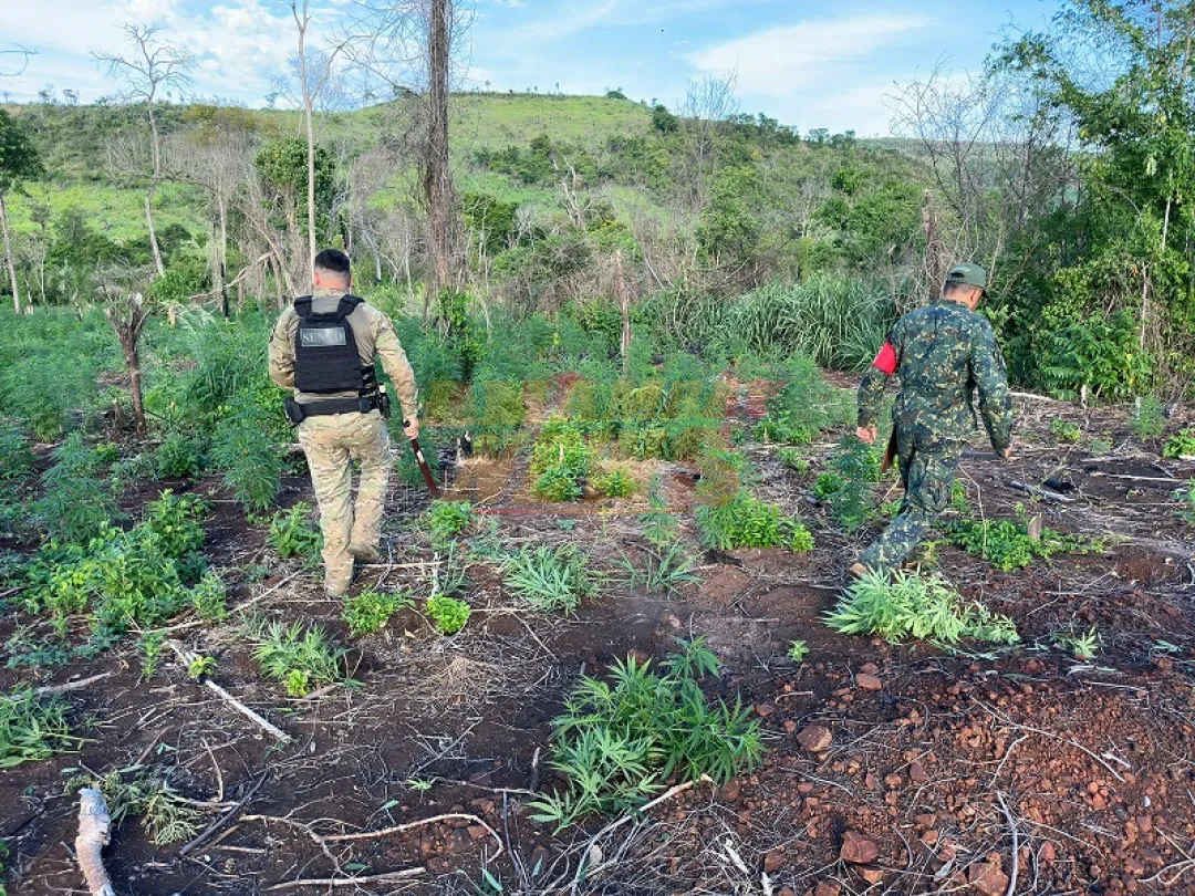 Equipos de SENAD continúan con ofensiva contra el narcotráfico en el centro del país