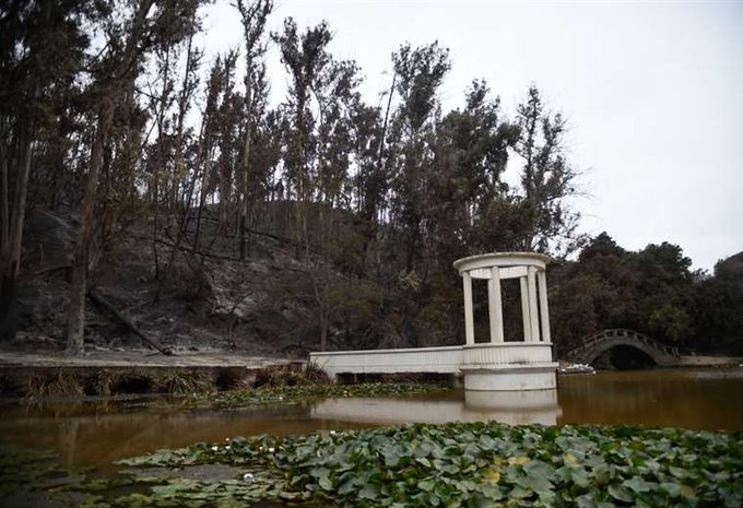 El mayor jardín botánico de Chile respira malherido tras los incendios