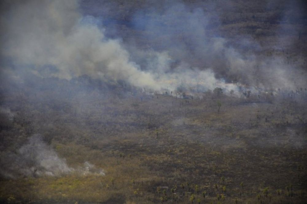 Reportan 34 nuevos focos de incendio en el Alto Chaco