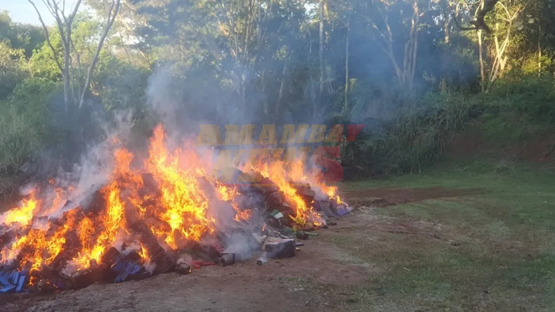 Destruyen más de 13,5 toneladas de marihuana incautada en Katueté
