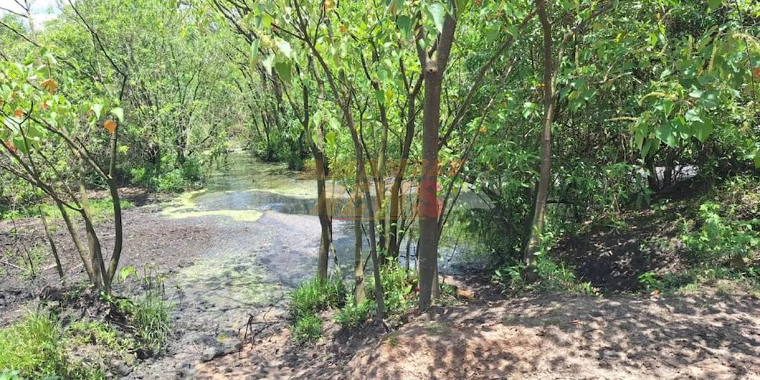 Investigan causa de mortandad de peces en el río Tebicuarymí