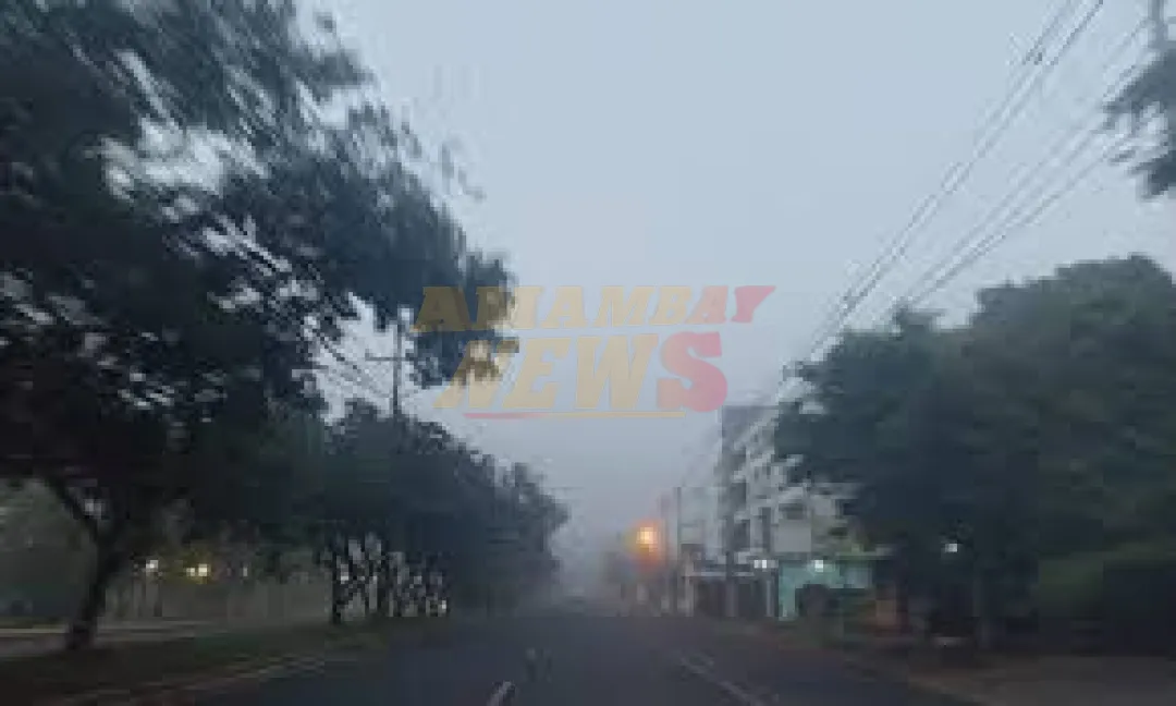Jueves fresco a cálido y neblinas, pronostica Meteorología