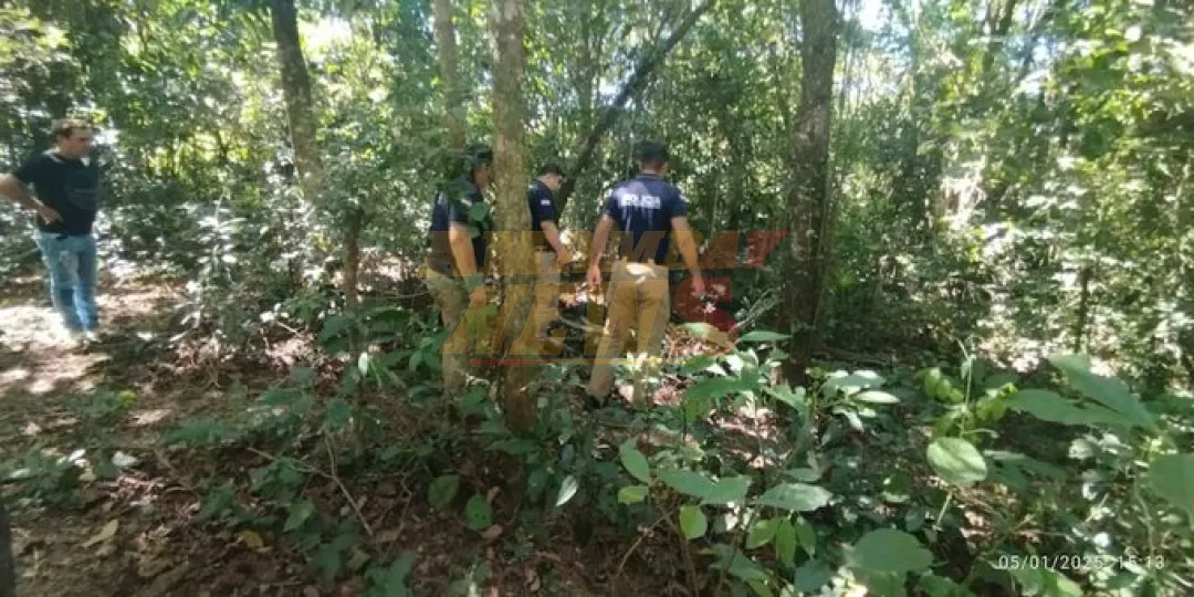 Hombre muere aplastado por un árbol mientras buscaba leña