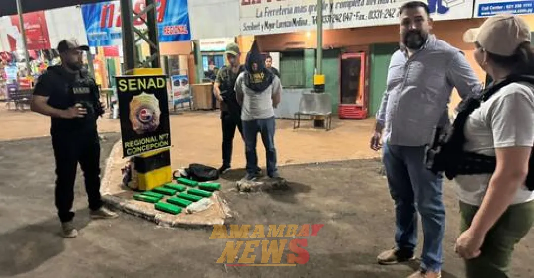Incautan casi 10 kilogramos de marihuana en la terminal de Concepción