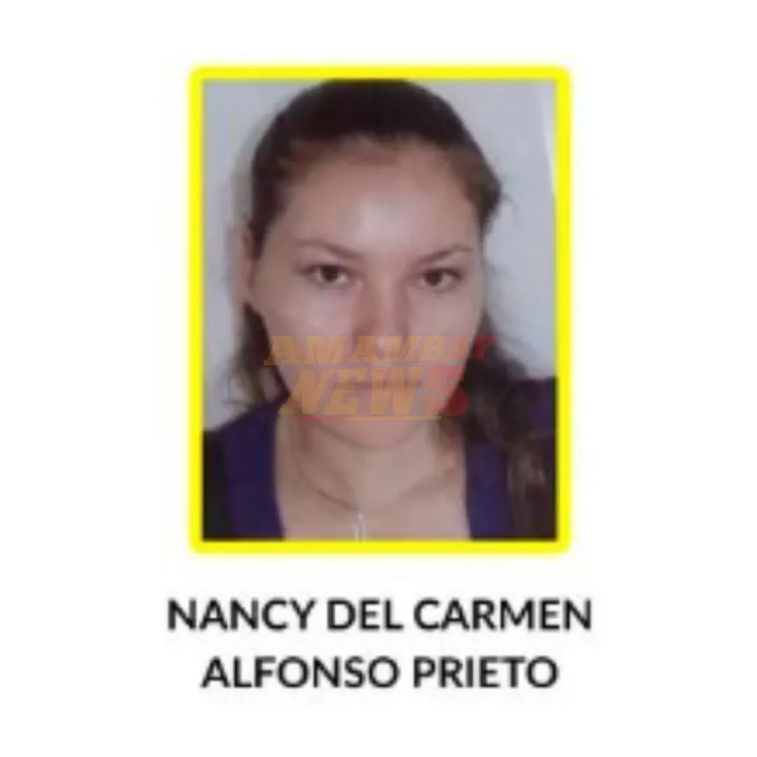 Pavo Real I: rechazan habeas corpus reparador presenado por Nancy Alfonzo