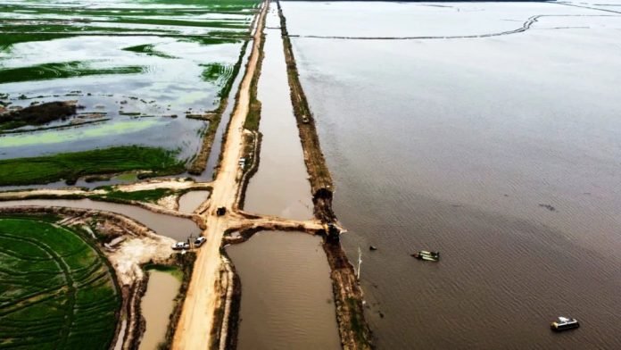 Millonarias pérdidas en los arrozales por causa del clima