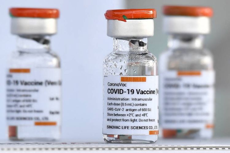 Dinavisa aprueba la vacuna Coronavac para niños con base en experiencia chilena