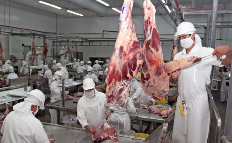 Técnicos continuarán inspecciones para la apertura del mercado de EE.UU. a la carne paraguaya
