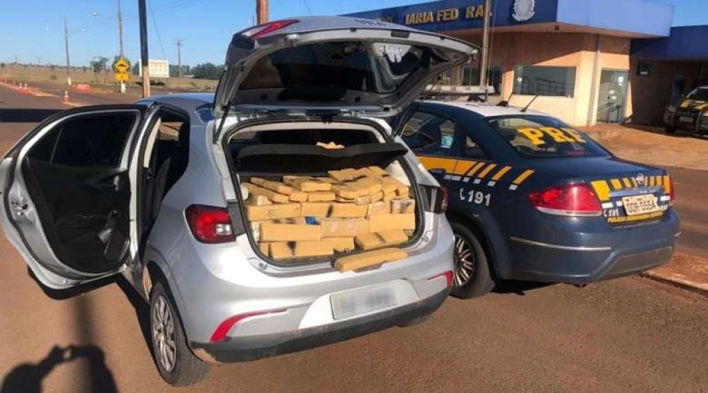 Incautan 350 kilos de marihuana en Ponta Porã
