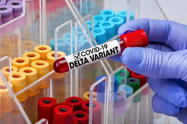 Salud reporta 58 nuevos casos de la variante Delta