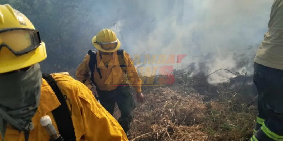 Crecen los incendios en Paraguay: mayoría provocados por humanos